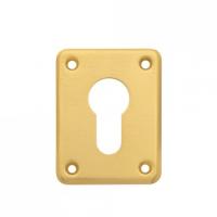 Накладка декоративная DP-C-01-G "Алекс" (...)