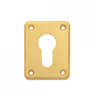 Накладка декоративная DP-C-01-G "Алекс"